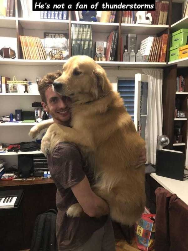 klyker funny picdump 64 1 600x800 Klyker Picdump (128 photos)