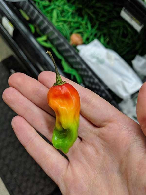 Klyker Picdump (122 photos)