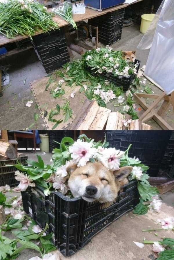 klyker funny picdump 69 1 600x895 Klyker Picdump (128 photos)