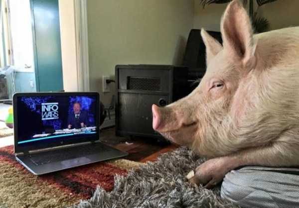 klyker funny picdump 72 16 600x418 Klyker Picdump (123 photos)