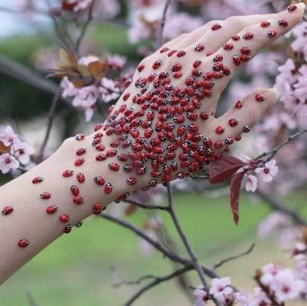 Klyker Picdump (132 photos)