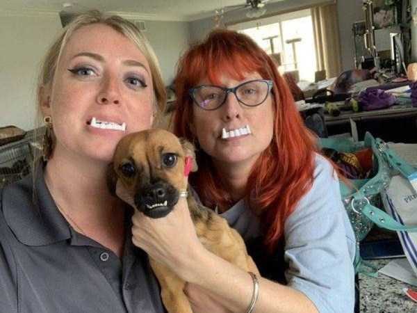 Klyker Picdump (124 photos)