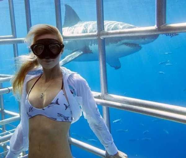 klyker funny picdump 79 16 600x510 Klyker Picdump (123 photos)