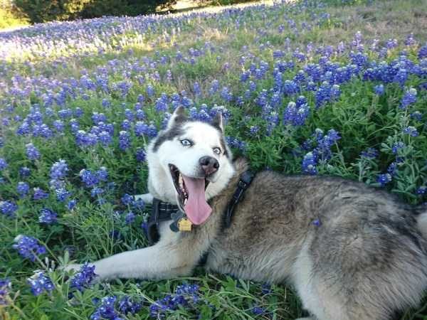 Klyker Picdump (132 photos)