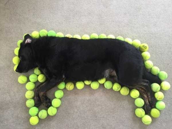 klyker funny picdump 82 16 600x450 Klyker Picdump (123 photos)