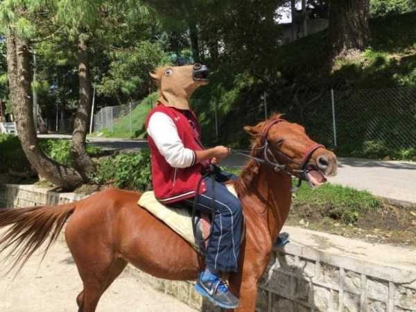 klyker funny picdump 83 16 600x450 Klyker Picdump (123 photos)