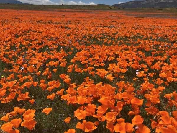 Klyker Picdump (132 photos)