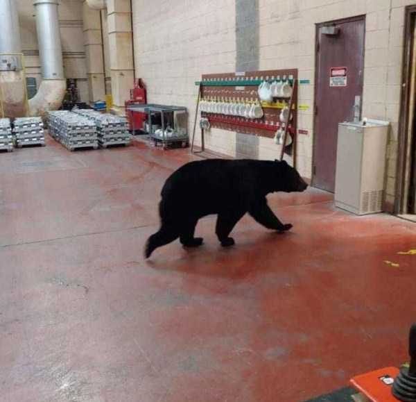 Klyker Picdump (124 photos)