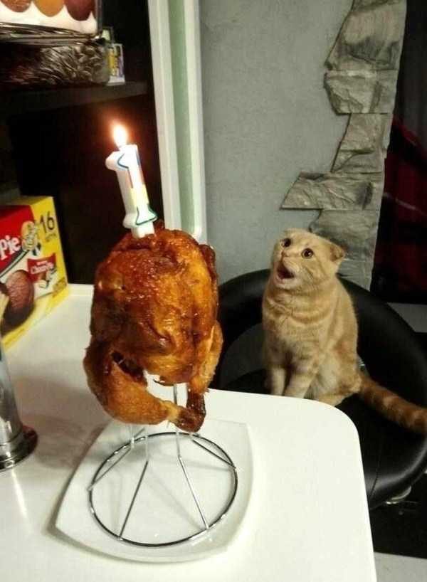 klyker funny picdump 96 16 600x818 Klyker Picdump (123 photos)