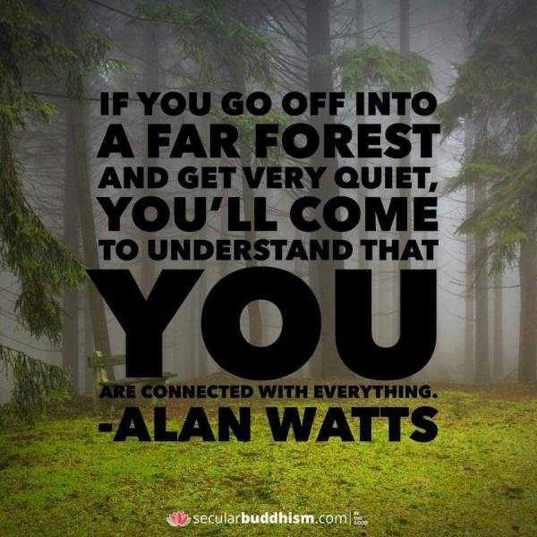 How About Some Motivation? (41 photos)