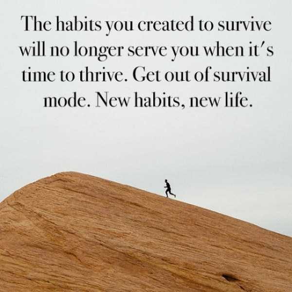 How About Some Motivation? (52 photos)