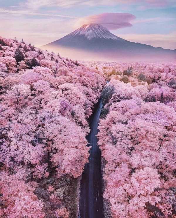 47 Nothing But Awesome Pics (47 photos)