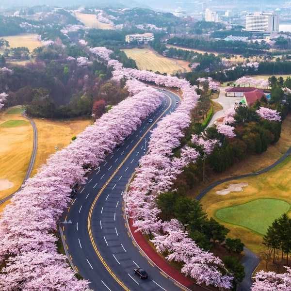 47 Nothing But Awesome Pics (47 photos)