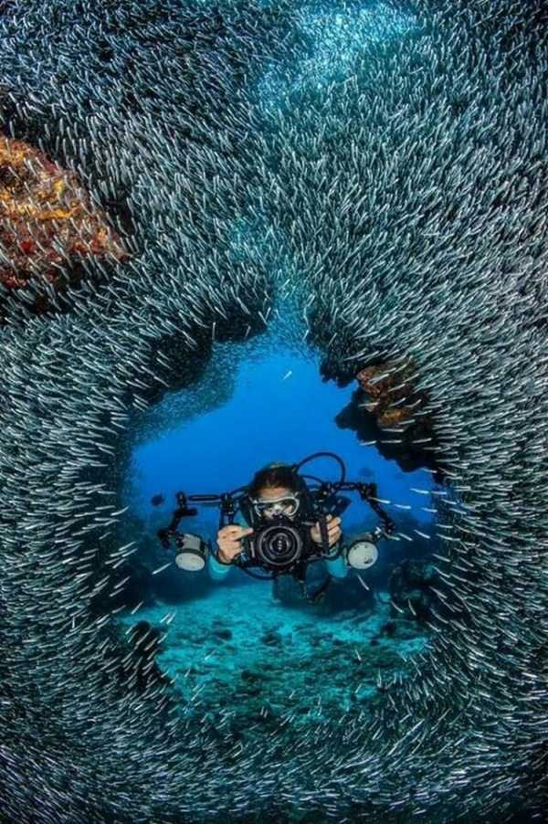 47 Nothing But Awesome Pics (47 photos)