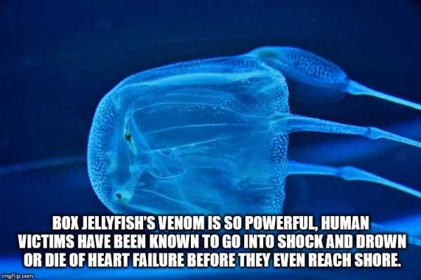 It’s Time For Some Cool And Interesting Facts – Part 95 (79 photos)