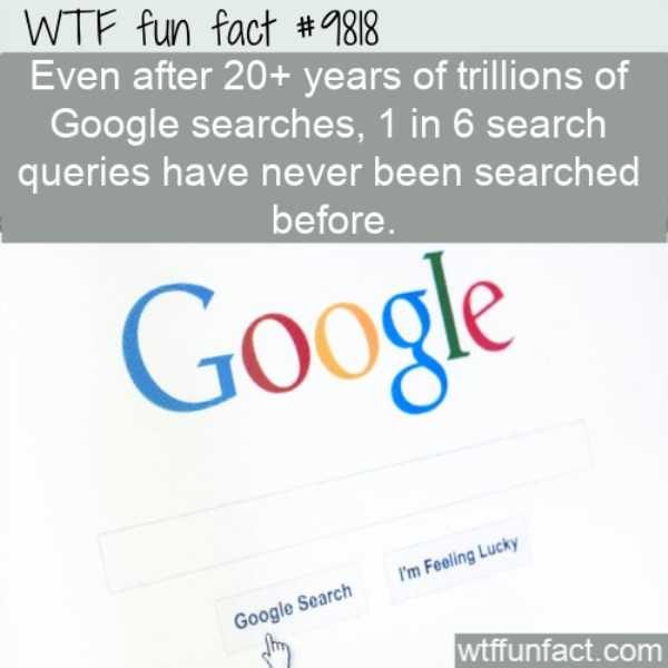 fun facts 31 4 600x600