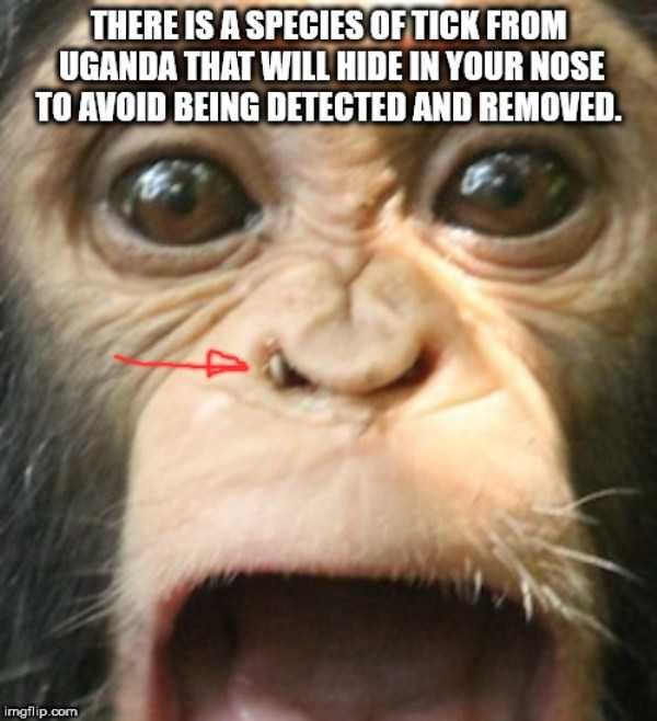 It’s Time For Some Cool And Interesting Facts – Part 95 (79 photos)