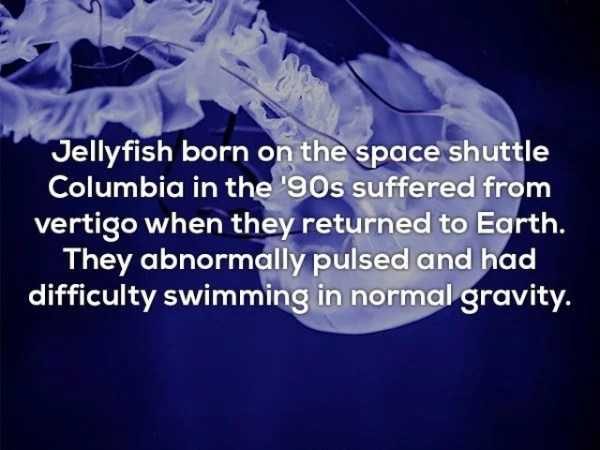 It’s Time For Some Cool And Interesting Facts – Part 100 (58 photos)