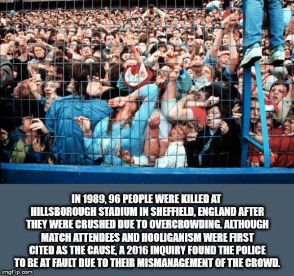 It’s Time For Some Cool And Interesting Facts – Part 95 (79 photos)