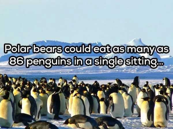 It’s Time For Some Cool And Interesting Facts – Part 96 (60 photos)