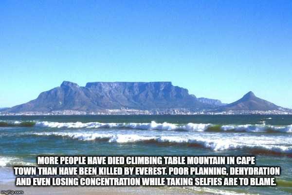 It’s Time For Some Cool And Interesting Facts – Part 95 (79 photos)