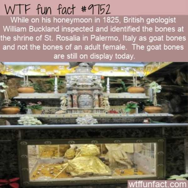 It’s Time For Some Cool And Interesting Facts – Part 95 (79 photos)