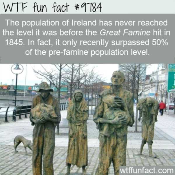 It’s Time For Some Cool And Interesting Facts – Part 98 (59 photos)