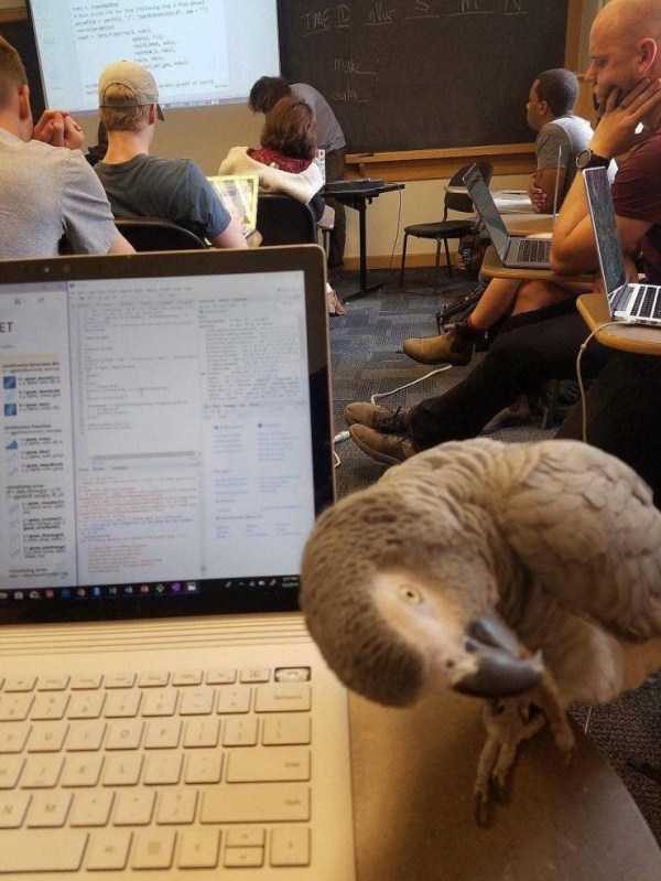 klyker funny picdump 102 9 600x799 Klyker Picdump (114 photos)