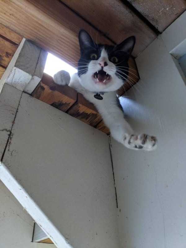 klyker funny picdump 105 9 600x800 Klyker Picdump (114 photos)