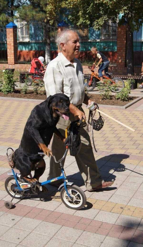 klyker funny picdump 106 9 600x1035 Klyker Picdump (114 photos)