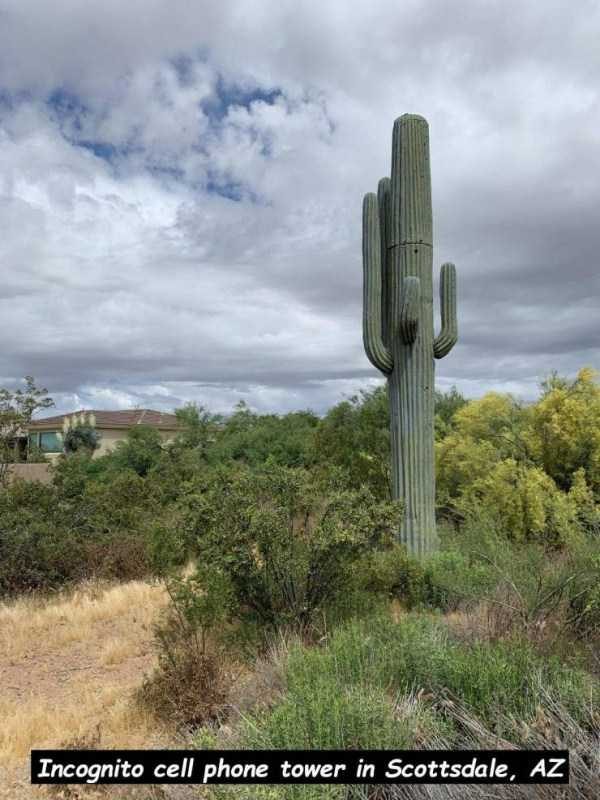 klyker funny picdump 110 8 600x800 Klyker Picdump (114 photos)