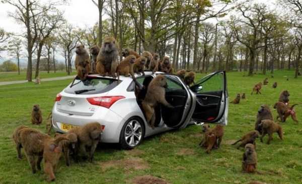 klyker funny picdump 33 7 600x367 Klyker Picdump (108 photos)