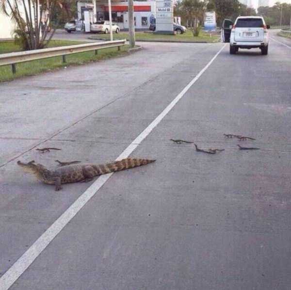 klyker funny picdump 36 9 600x598 Klyker Picdump (114 photos)