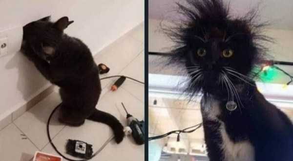 klyker funny picdump 39 9 600x330 Klyker Picdump (114 photos)