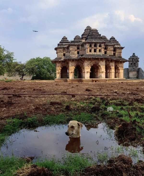 klyker funny picdump 4 9 600x732 Klyker Picdump (114 photos)