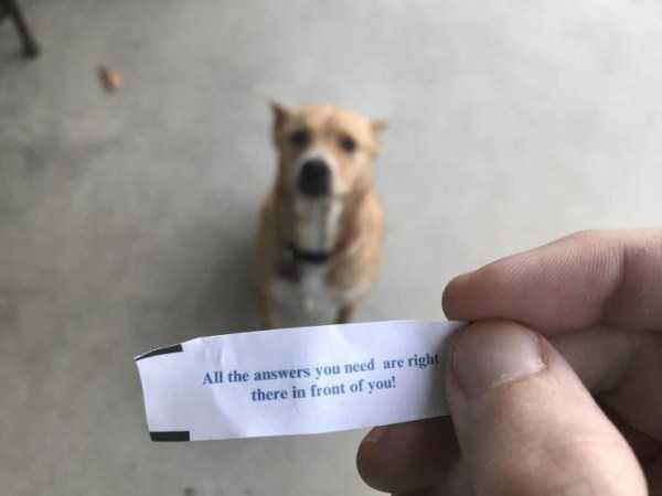 klyker funny picdump 49 9 600x450 Klyker Picdump (114 photos)