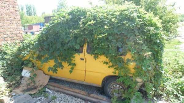 klyker funny picdump 72 9 600x338 Klyker Picdump (114 photos)