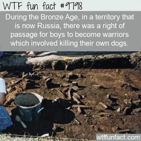 It’s Time For Some Cool And Interesting Facts – Part 99 (66 photos)