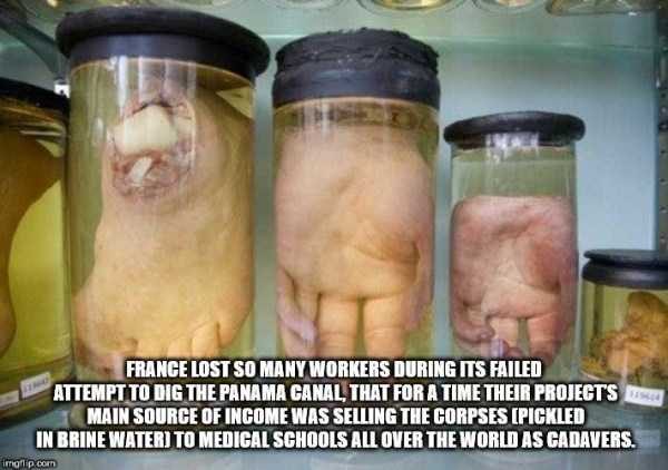 It’s Time For Some Cool And Interesting Facts – Part 99 (66 photos)