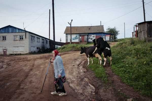 58 WTF Photos From The Planet Russia