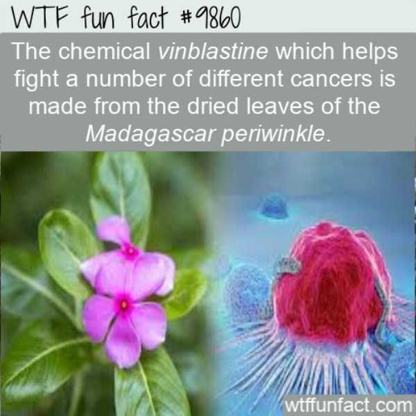 It’s Time For Some Cool And Interesting Facts – Part 104 (50 photos)