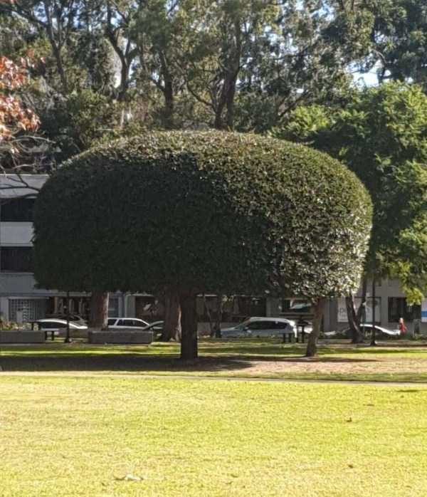 Klyker Picdump (114 photos)