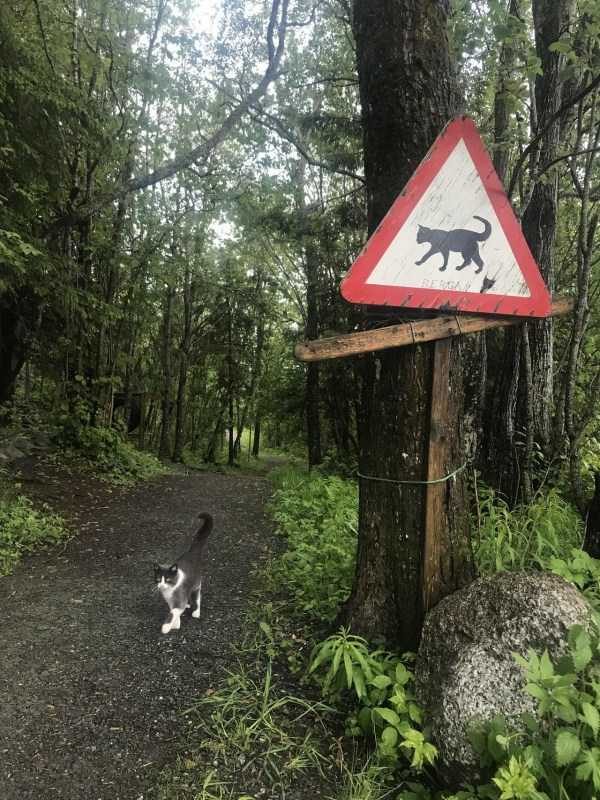 klyker funny picdump 82 5 600x800 Klyker Picdump (112 photos)