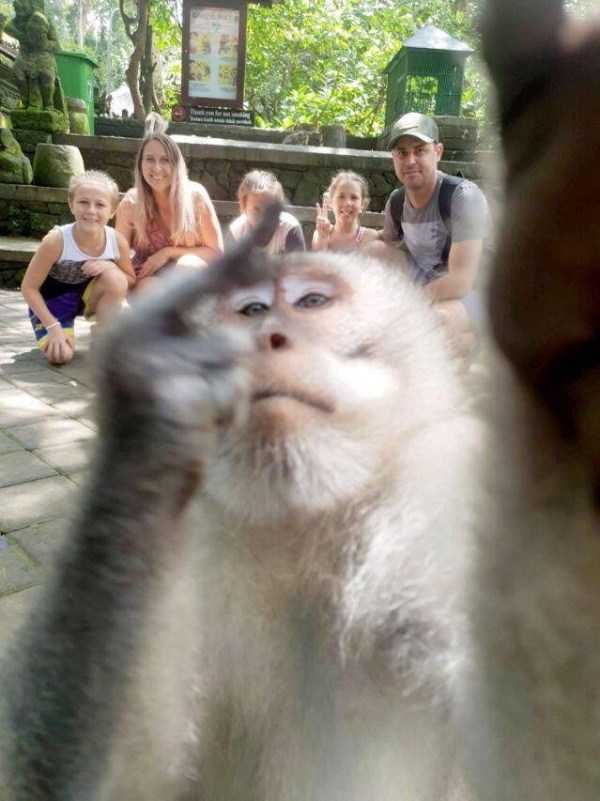 klyker funny picdump 87 12 600x801 Klyker Picdump (124 photos)