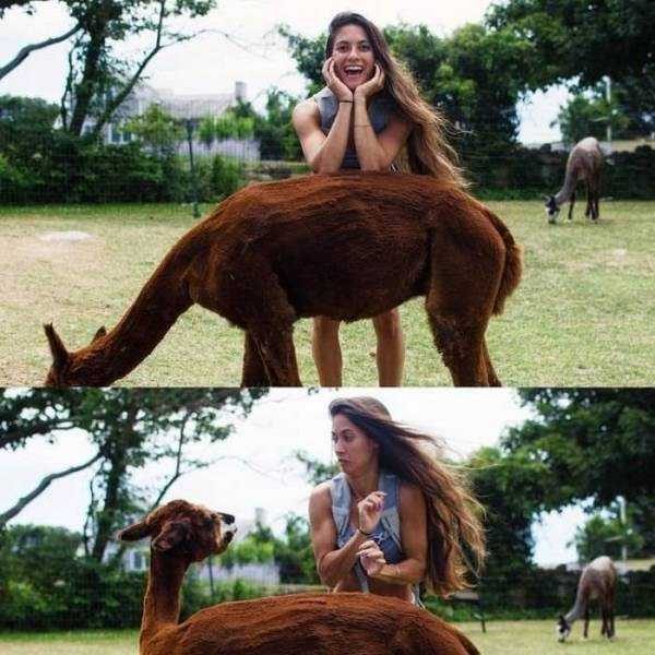 perfectly timed 2 600x600 75 Perfectly Timed Photos