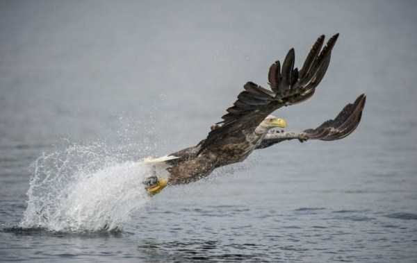 perfectly timed 6 600x379 75 Perfectly Timed Photos