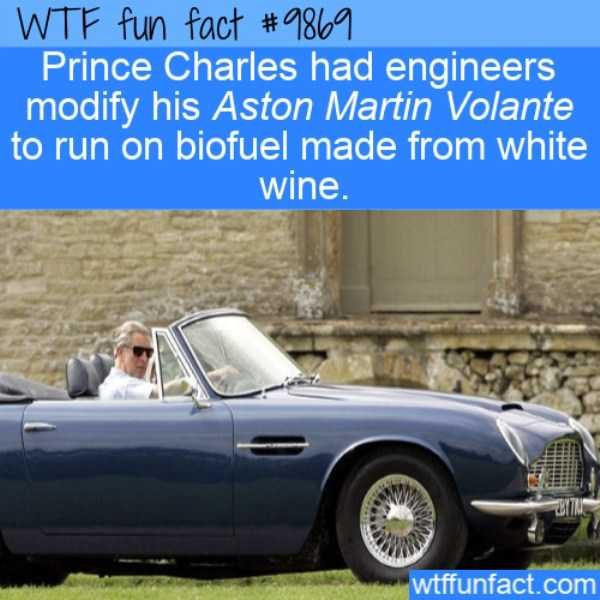 It’s Time For Some Cool And Interesting Facts – Part 105 (55 photos)