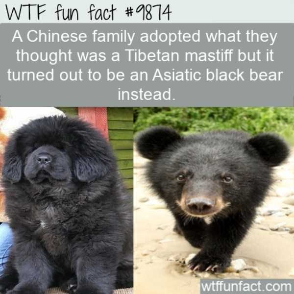 It’s Time For Some Cool And Interesting Facts – Part 105 (55 photos)
