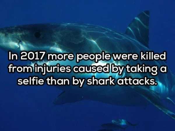 It’s Time For Some Cool And Interesting Facts – Part 108 (63 photos)