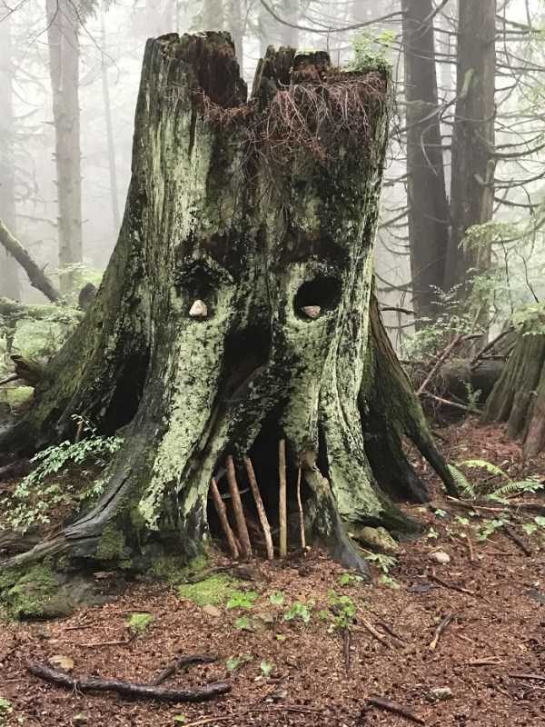 WTF Things Found In The Woods (33 photos)